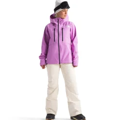 The North Face Freedom Insulated Bibs - Women's-Women Snow Clothing|Snowboard Pants & Bibs