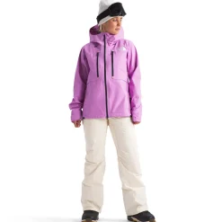 The North Face Freedom Insulated Short Bibs - Women's-Women Short|Snow Clothing