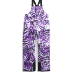 The North Face Freedom Insulated Plus Tall Bibs - Women's-Women Tall|Plus
