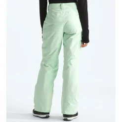 The North Face Freedom Insulated Short Pants - Women's-Women Short|Snow Clothing