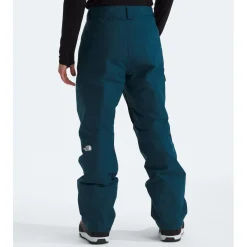 The North Face Freedom Insulated Pants - Men's- Snow Clothing|Snowboard Pants & Bibs