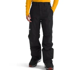 The North Face Freedom Insulated Pants - Men's- Snow Clothing|Snowboard Pants & Bibs