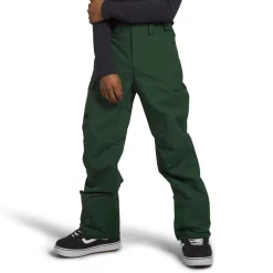 The North Face Freedom Pants - Men's- Short|Snow Clothing