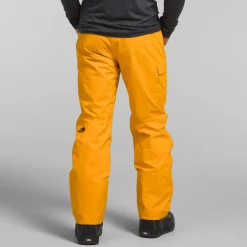 The North Face Freedom Pants - Men's- Short|Snow Clothing