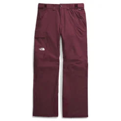 The North Face Freedom Pants - Men's- Snow Clothing|Ski Pants & Bibs