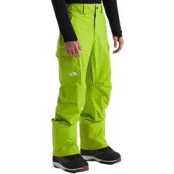 The North Face Freedom Pants - Men's- Snow Clothing|Ski Pants & Bibs