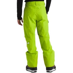 The North Face Freedom Pants - Men's- Snow Clothing|Ski Pants & Bibs