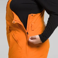 The North Face Freedom Plus Bibs - Women's-Women Snow Clothing|Snowboard Pants & Bibs