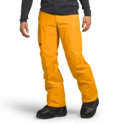 The North Face Freedom Short Pants - Men's- Short|Snow Clothing