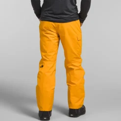 The North Face Freedom Short Pants - Men's- Short|Snow Clothing