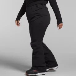 The North Face Freedom Stretch Plus Pants - Women's-Women Plus|Snow Clothing