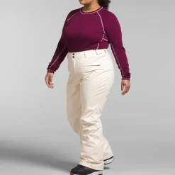 The North Face Freedom Stretch Plus Short Pants - Women's-Women Short|Plus