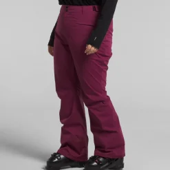 The North Face Freedom Stretch Plus Tall Pants - Women's-Women Tall|Plus