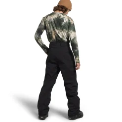The North Face Freedom Stretch Pants - Men's- Snow Clothing|Ski Pants & Bibs