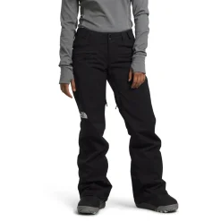 The North Face Freedom Stretch Pants - Women's-Women Snow Clothing|Snowboard Pants & Bibs