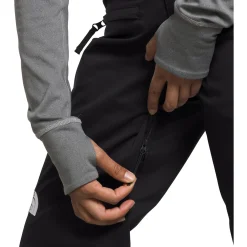 The North Face Freedom Stretch Pants - Women's-Women Snow Clothing|Snowboard Pants & Bibs