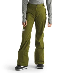 The North Face Freedom Stretch Pants - Women's-Women Snow Clothing|Snowboard Pants & Bibs