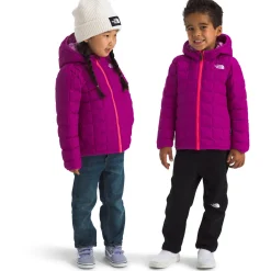 The North Face Reversible ThermoBall™ Hooded Jacket - Toddlers'-Kids Toddler Snow Clothing|Toddler 18M - 7T