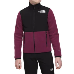 The North Face Teen Denali Jacket - Kids'-Kids Kids Clothing|Kids Jackets