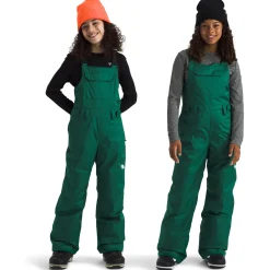 The North Face Teen Freedom Insulated Bibs - Kids'-Kids Girls Snow Clothing|Boys Snow Clothing