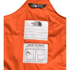 The North Face Teen Freedom Insulated Bibs - Kids'-Kids Girls Snow Clothing|Boys Snow Clothing