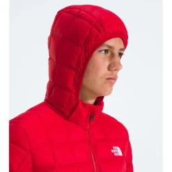 The North Face ThermoBall™ Hooded Jacket - Boys'-Kids Kids Clothing|Kids Jackets