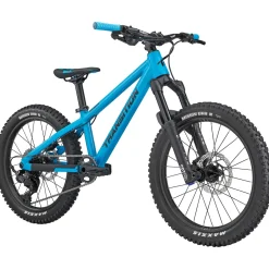 Transition Bandit Complete Mountain Bike - Kids' 2025-Kids Mountain Bikes|Kids Bikes