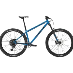 Transition TransAM Complete Mountain Bike 2025- Mountain Bikes