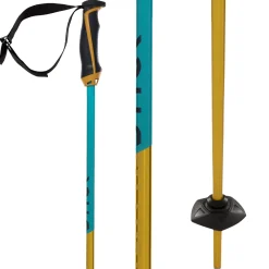 Völkl Phantastick 18mm Ski Poles 2025- Ski Poles