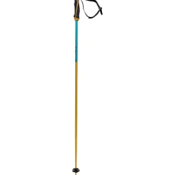 Völkl Phantastick 18mm Ski Poles 2025- Ski Poles