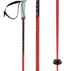 Völkl Phantastick 18mm Ski Poles 2025- Ski Poles