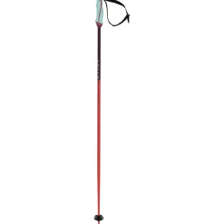 Völkl Phantastick 18mm Ski Poles 2025- Ski Poles