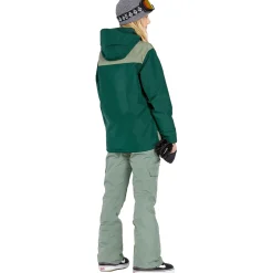 Volcom Aston GORE-TEX Pants - Women's-Women Snow Clothing|Snowboard Pants & Bibs